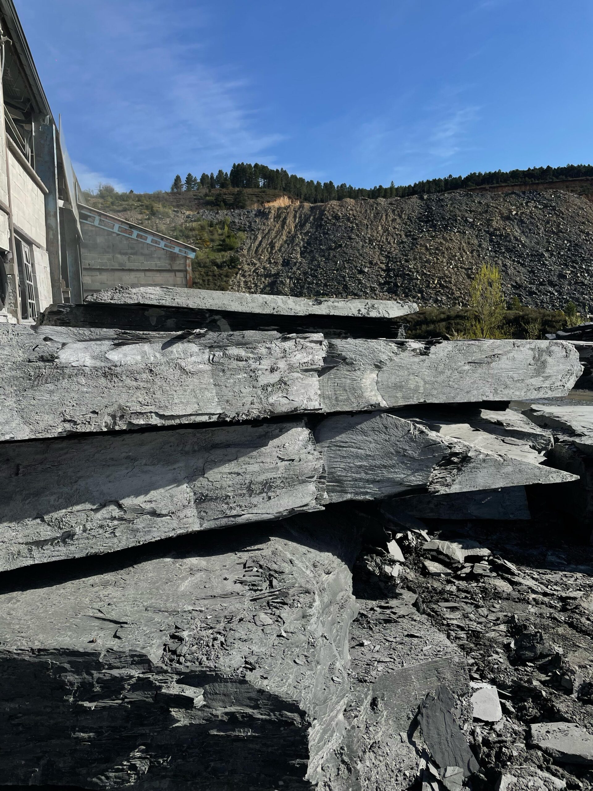 WhatsApp Image 2025-04-25 at 10.26.40 (1)