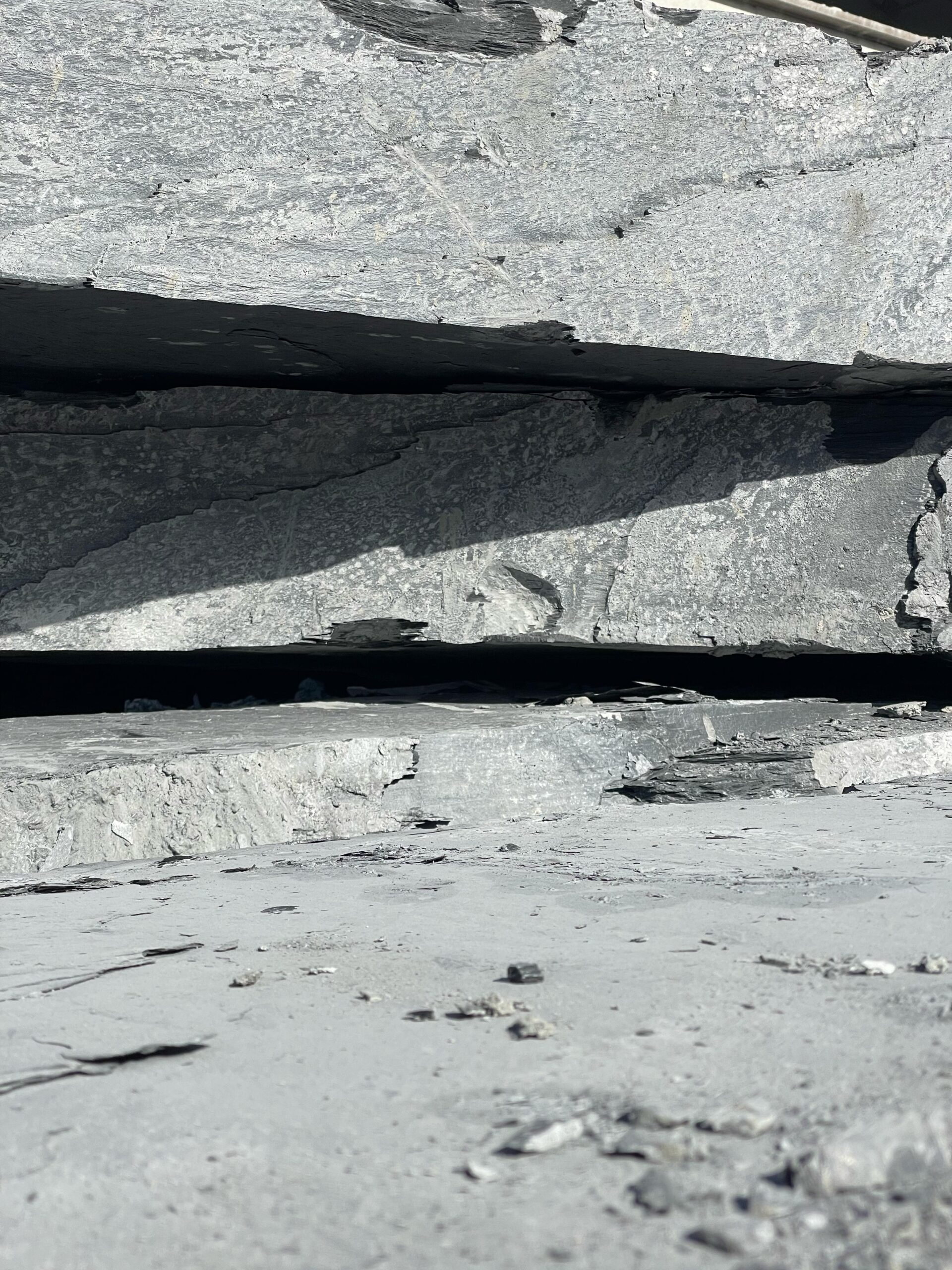 WhatsApp Image 2025-04-25 at 10.26.40